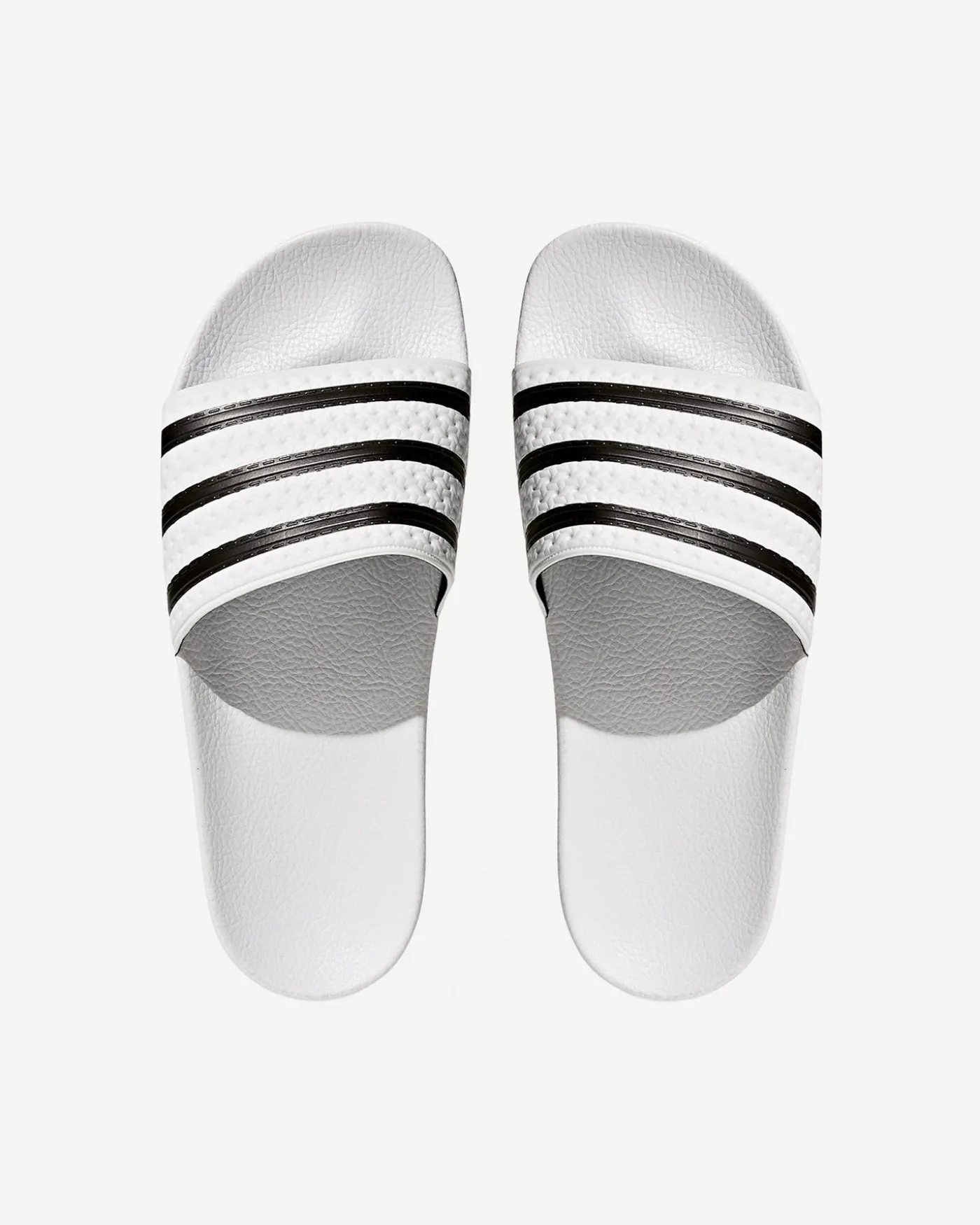 ADILETTE M