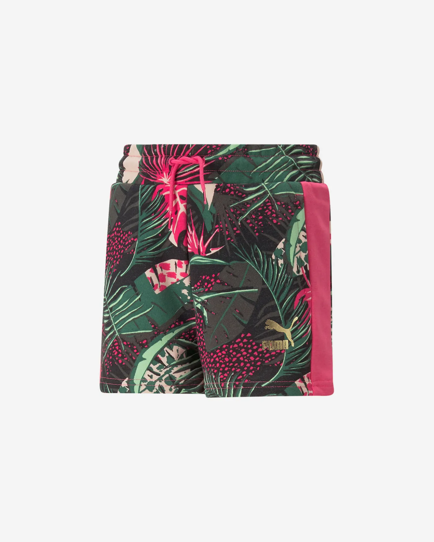 JUNGLE JR