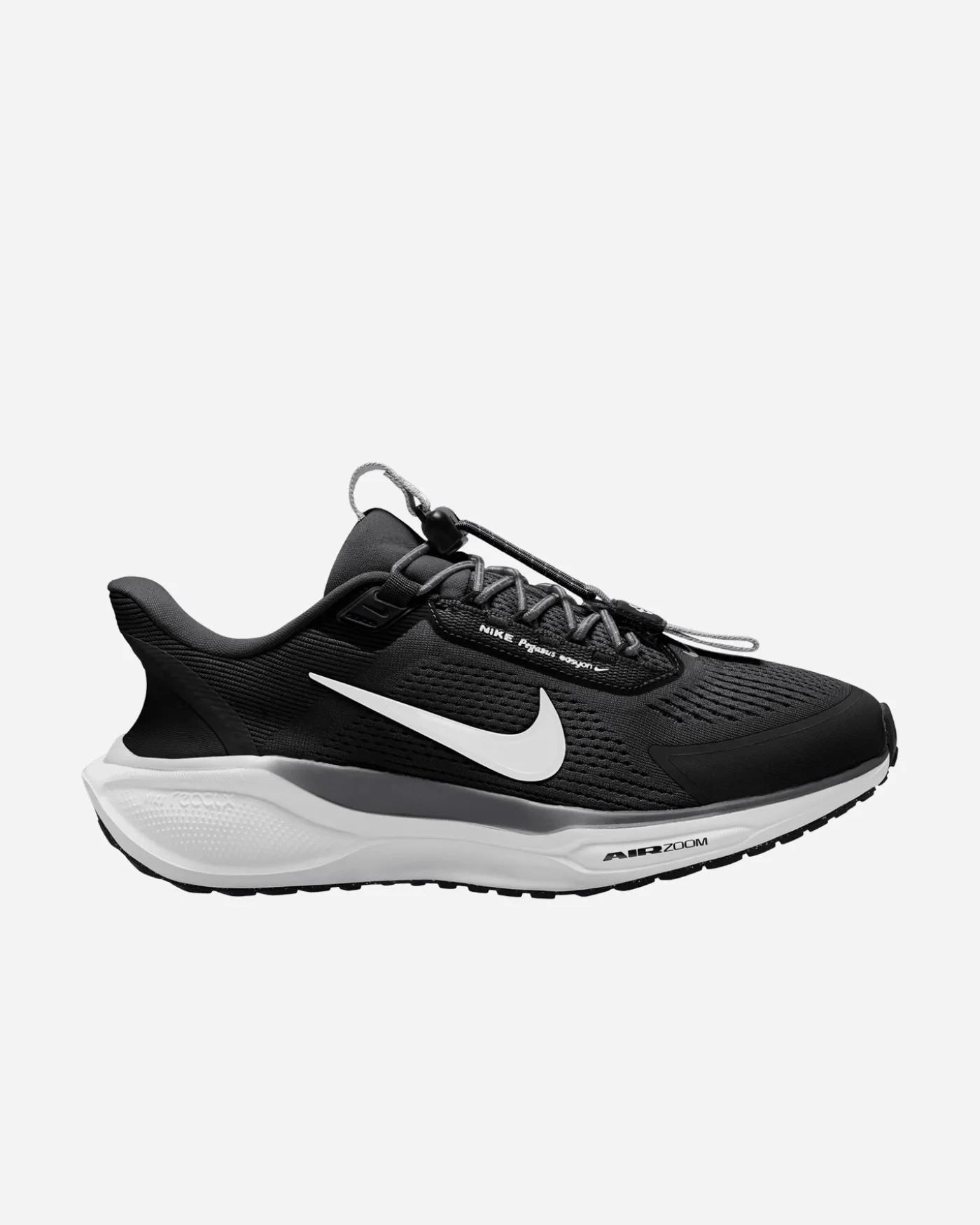 PEGASUS W